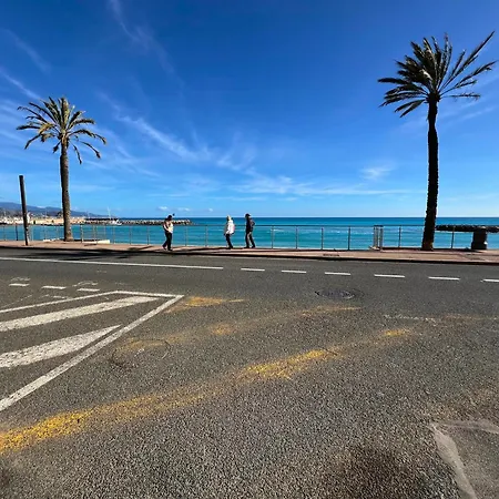 Magnificent With Garden On The 公寓