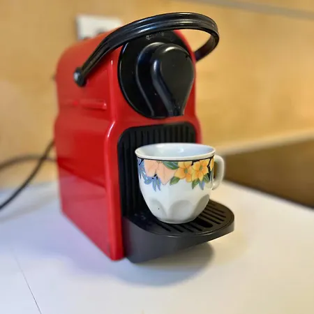 公寓 Magnificent With Garden On The 罗克布吕讷-卡普马丹